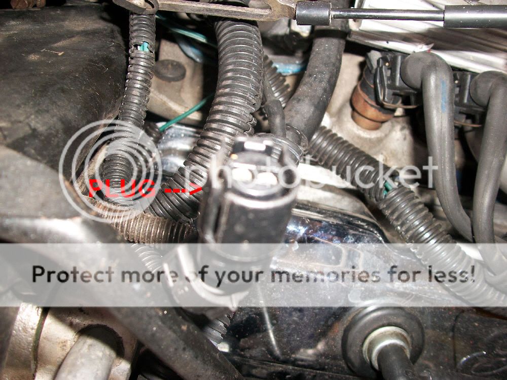 Finishing up TPI re-wire. Need a little help - Third Generation F-Body