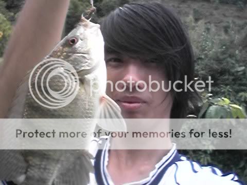 topic về những hình ảnh chụp bằng điện thoại di động - 5