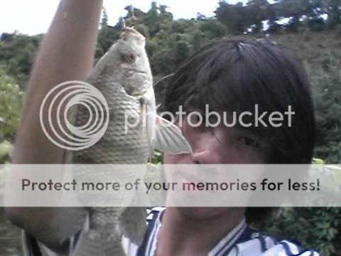 topic về những hình ảnh chụp bằng điện thoại di động - 3