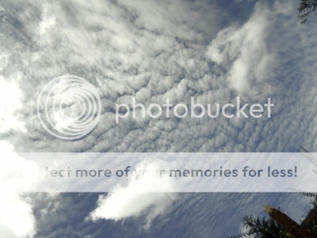 topic về những hình ảnh chụp bằng điện thoại di động