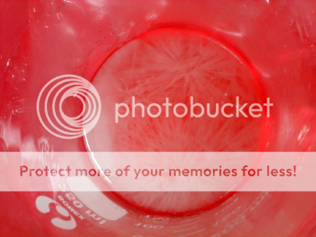 topic về những hình ảnh chụp bằng điện thoại di động