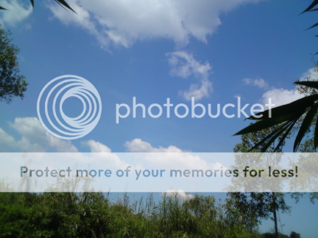 topic về những hình ảnh chụp bằng điện thoại di động - 2