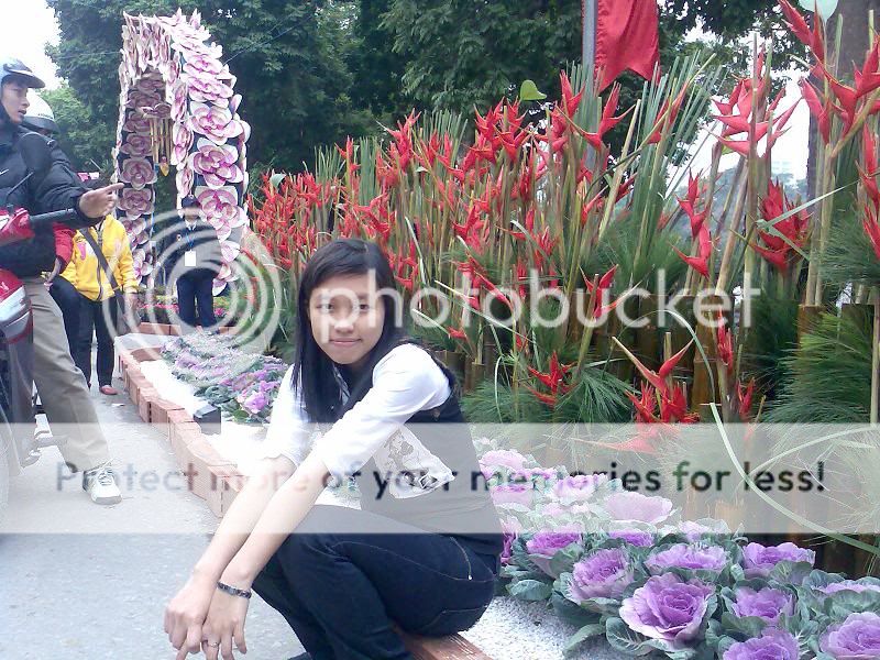 topic về những hình ảnh chụp bằng điện thoại di động - 5