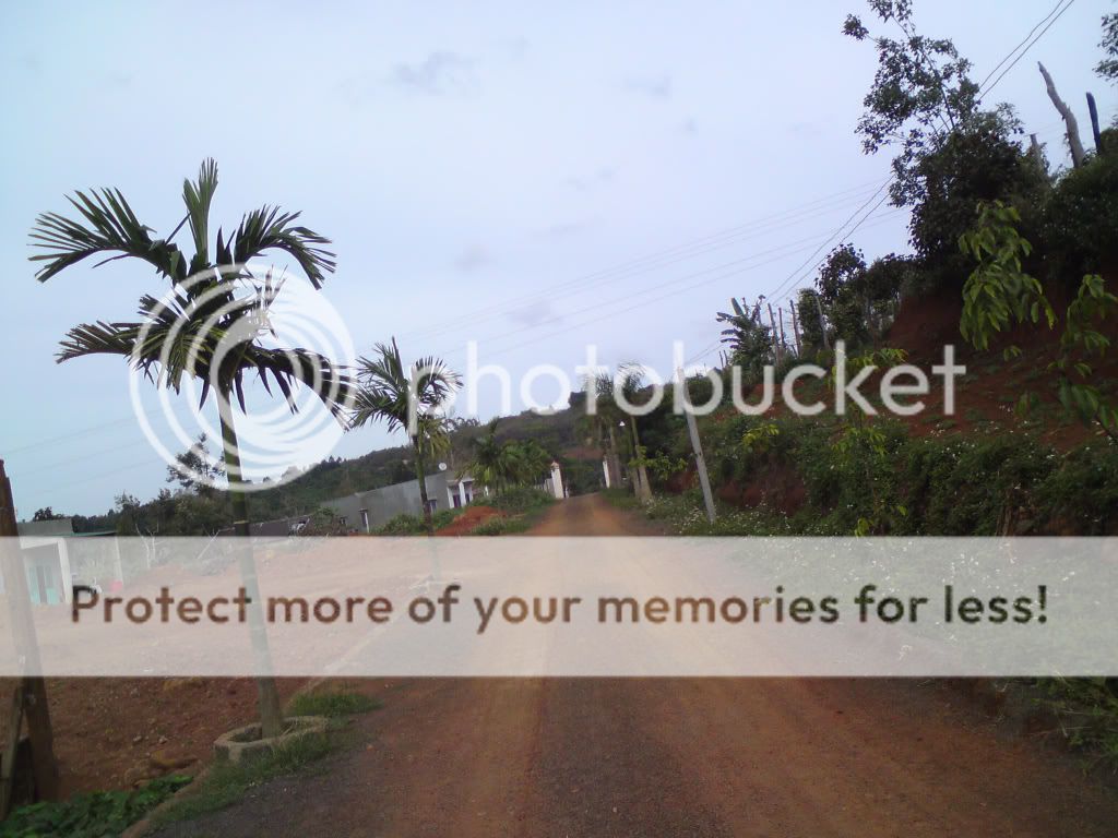 topic về những hình ảnh chụp bằng điện thoại di động - 1