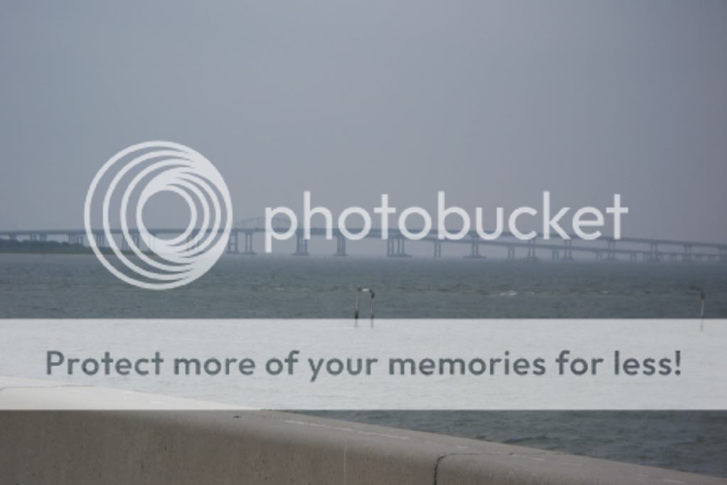 http://i949.photobucket.com/albums/ad334/blackdeek_1/100_1368.jpg