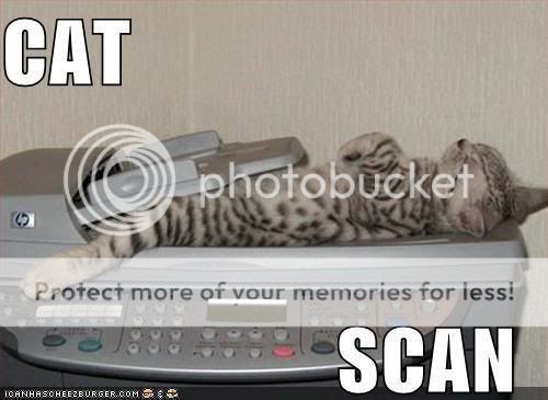 cat scan photo: Cat Scan CatScan.jpg