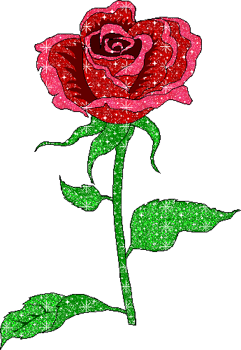 Roses Orkut Scrap