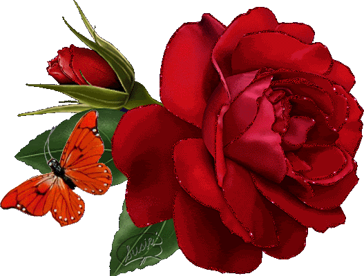 Roses Orkut Scrap