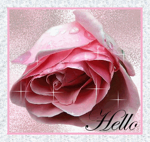 Roses Orkut Scrap