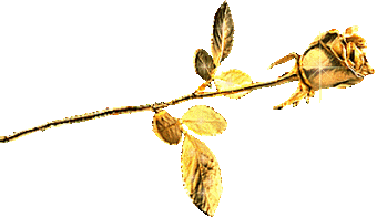 Roses Orkut Scrap