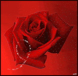 Roses Orkut Scrap