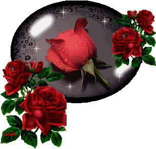 Roses Orkut Scrap