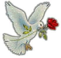 Roses Orkut Scrap
