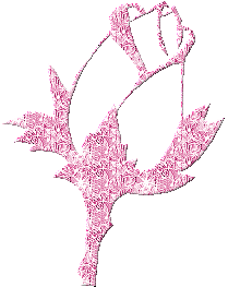 Roses Orkut Scrap
