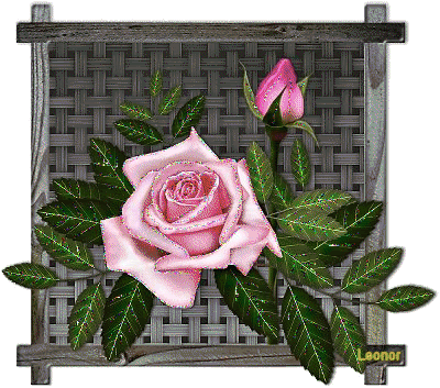 Roses Orkut Scrap