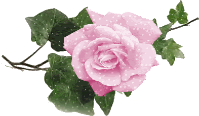 Roses Orkut Scrap