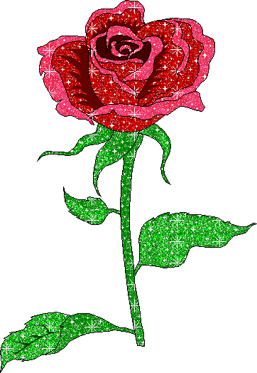 Roses Orkut Scrap