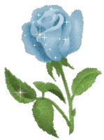 Roses Orkut Scrap