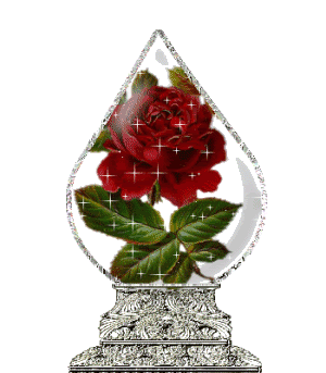 Roses Orkut Scrap