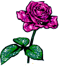 Roses Orkut Scrap