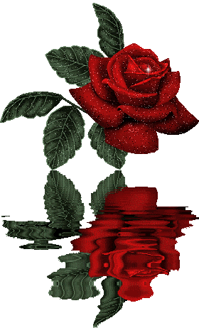 Roses Orkut Scrap
