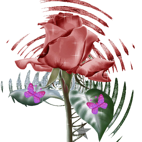 Roses Orkut Scrap