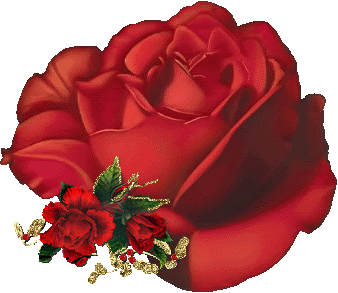 Roses Orkut Scrap
