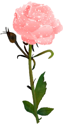 Roses Orkut Scrap
