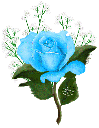 Roses Orkut Scrap