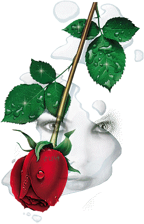 Roses Orkut Scrap