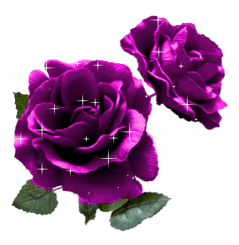 Roses Orkut Scrap