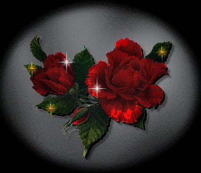 Roses Orkut Scrap