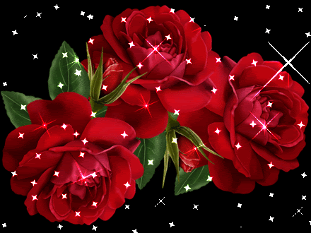 Roses Orkut Scrap