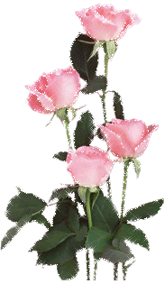 Roses Orkut Scrap