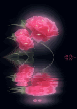 Roses Orkut Scrap