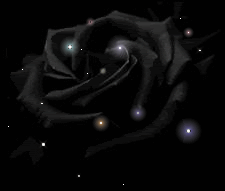 Roses Orkut Scrap