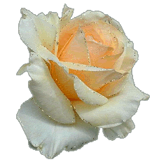 Roses Orkut Scrap