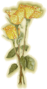 Roses Orkut Scrap