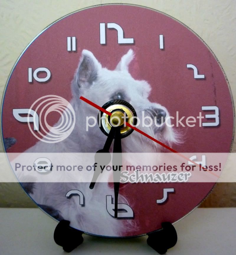 schnauzer dog cd clock Pictures, Images and Photos