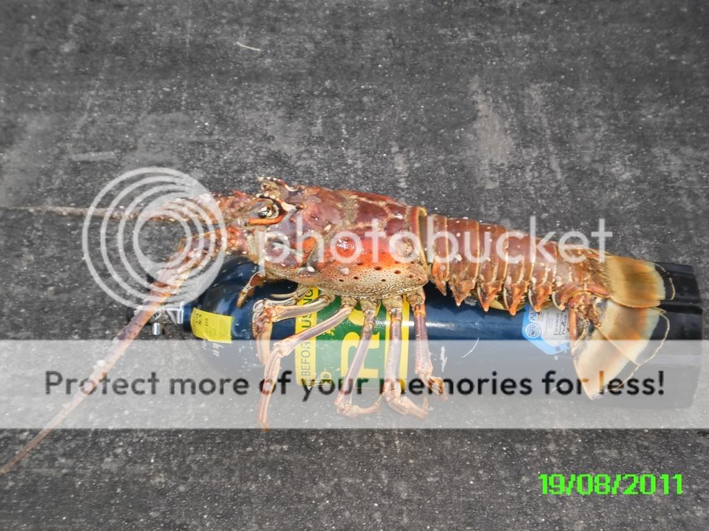 0567d82c.jpg