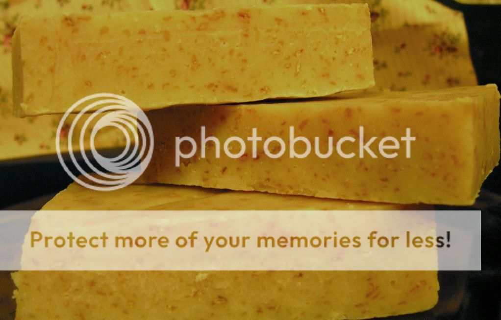 I Made Soap! - Goats