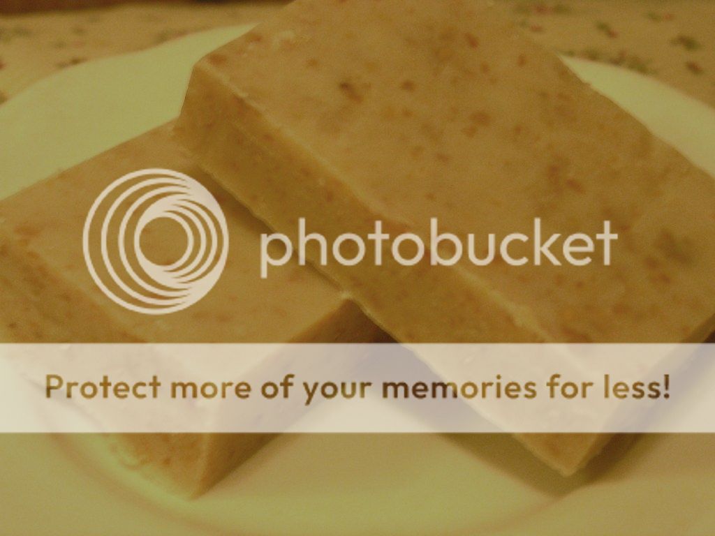 I Made Soap! - Goats