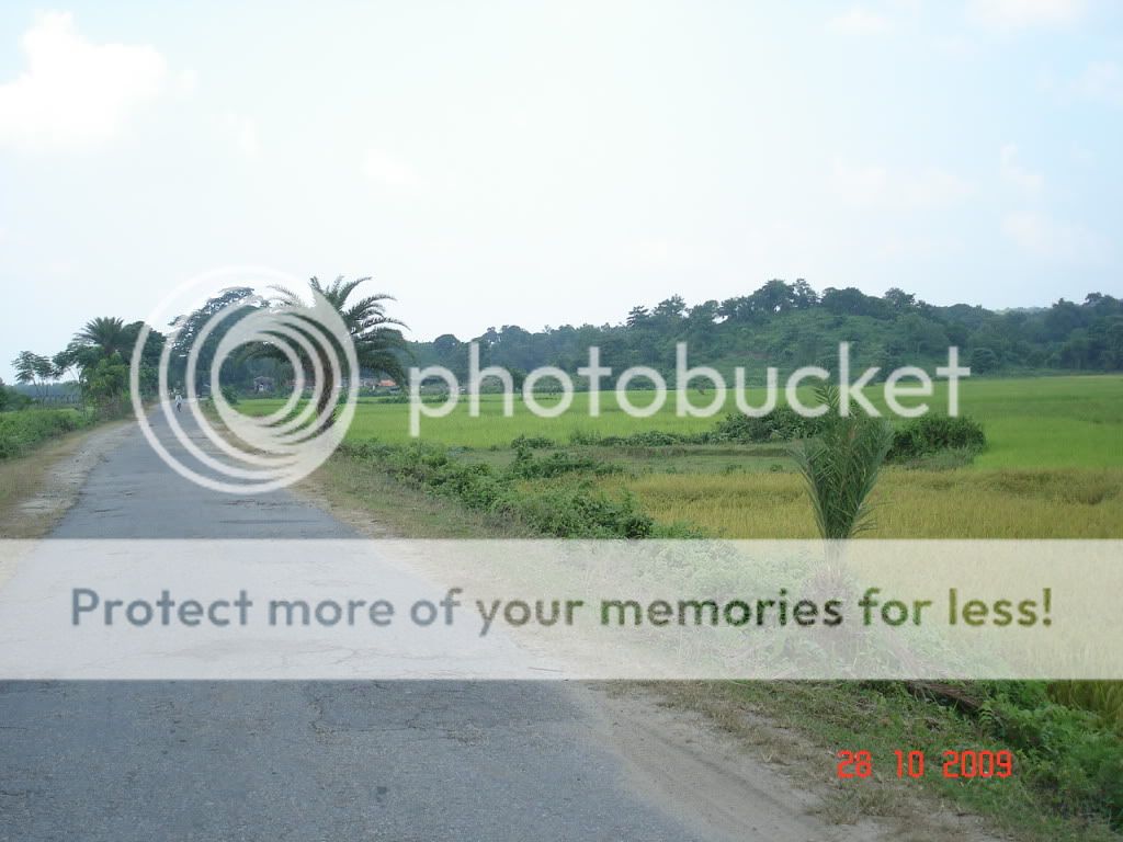 About Bangladesh, bangladesh tourism, Bangladeshi Knowledge, Sundarban, travel bangladesh, About Bangladesh, bangladesh tourism, Bangladeshi Knowledge, Sundarban, travel bangladesh,