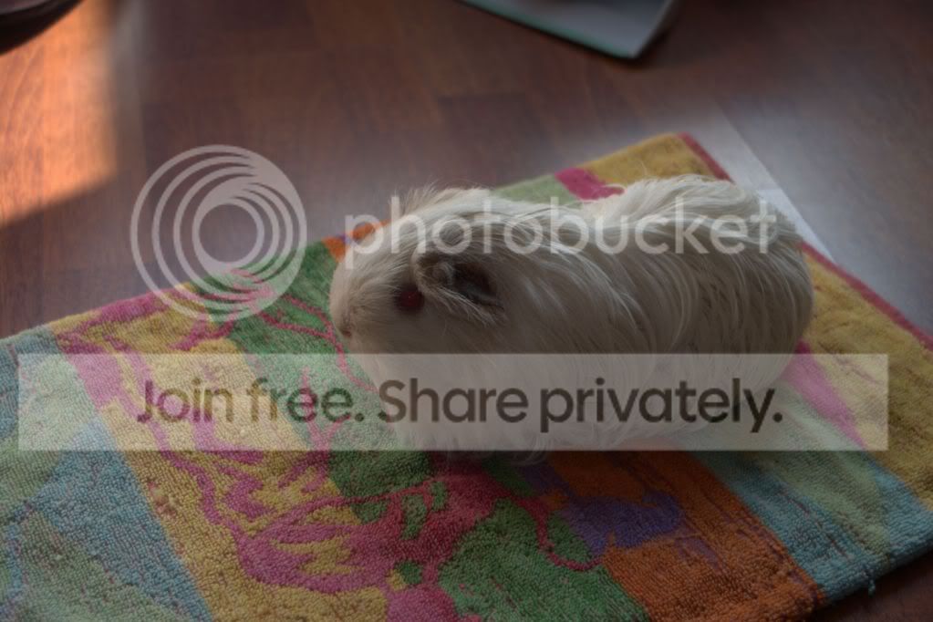 _IGP9997.jpg